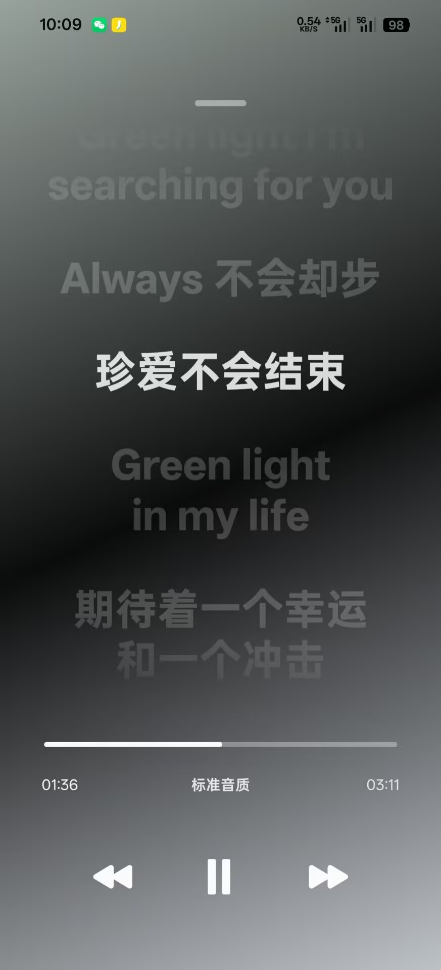 手机端沉浸歌词播放页